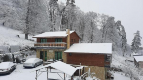 Villa A Barleon Bakuriani Bakuriani